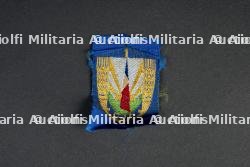 Lot d'insignes du Groupement 1 — photo 4