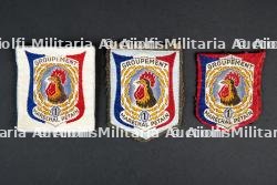 Lot d'insignes de groupe du Groupement 1