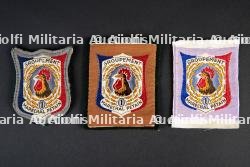 Lot d'insignes de groupe du Groupement 1 — photo 1