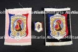 Lot d'insignes de groupe du Groupement 1 — miniature 1