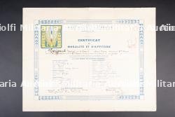 Ensemble d'un diplôme et d'insignes — miniature 13