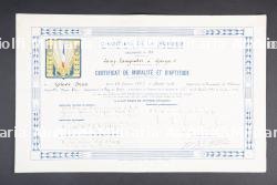 Ensemble d'insignes et de diplômes du Groupement 21 — miniature 12