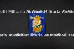 Lots d'insignes du Groupement 22 — miniature 9