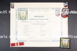 Ensemble d'insignes et de diplômes du Groupement 39