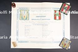 Lot d'insignes et de diplômes du Groupement 42