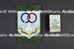 Lot d'insignes de l'école Régionale des Chefs d'Auvergne