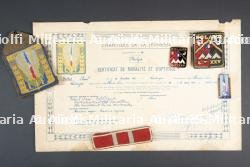 Ensemble d'insignes et de diplômes du Groupement 25