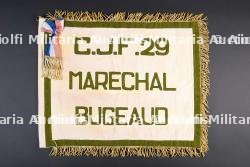 Fanion du Groupement 29