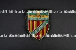 Lot d'insignes du Groupement 15 — photo 6