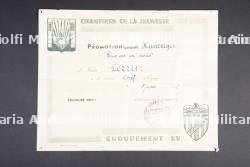 Ensemble de documents et d'insignes du Groupement 15 — photo 9