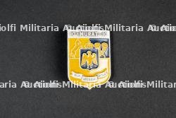 Insigne du Groupement 26