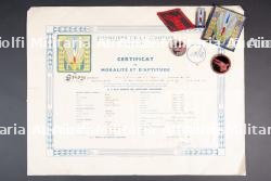Ensemble d'insignes et de diplômes