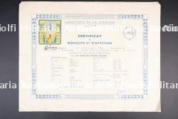 Ensemble d'insignes et de diplômes — miniature 10