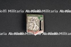 Insigne du Groupement 27