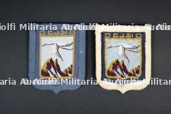 Lot d'insignes du Groupement 31