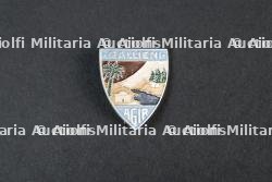 Insigne du Groupement 33