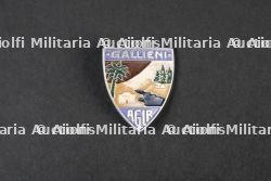 Insigne du Groupement 33 — photo 1