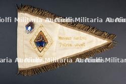 Ensemble de diplôme et fanion — photo 2