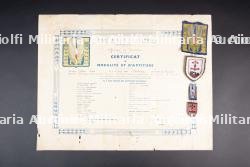 Ensemble d'insignes et de diplômes