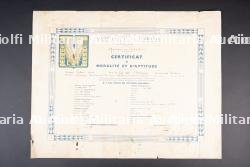 Ensemble d'insignes et de diplômes — miniature 8