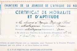 Ensemble d'insignes et de diplômes du Groupement 102 — photo 9