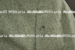 Grouping Leutnant Franz Niklas. — photo 32