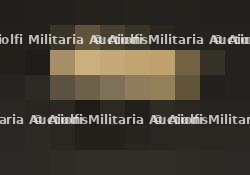 Lunette ZF 41. ZF 41 scope.