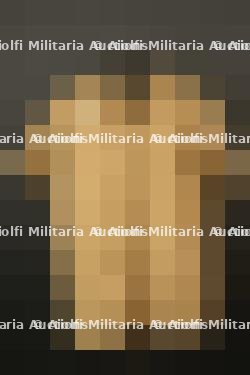 Chemise AK LW. Luftwaffe shirt