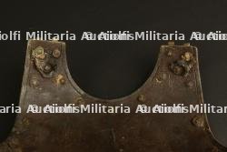 Dos de cuirasse. — miniature 3