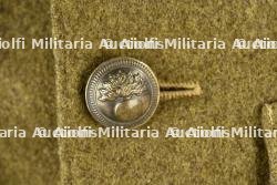Vareuse en drap d'un adjudant du 1er zouaves. — photo 4