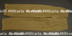 Pantalon moutarde.