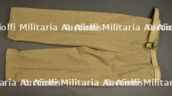 Pantalon moutarde.