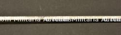 Sabre d officier tete de lion d officier du 17eme hussard de brunswick. Brunswick hussars officer lion head sword. Braunschweig Husaren Offizier Lowenkopf Säbel — photo 17