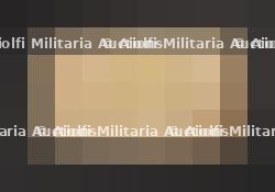 Brassard Deutsche Wehrmacht. Deutsche Wehrmacht armband.
