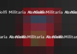 Insigne Aserbaidschan. Aserbaidschan insignia.