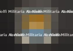 Insigne ukrainien. Ukrainian insignia.