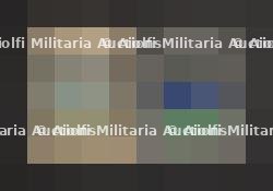Insigne Idel ural. Idel Ural Insignia.