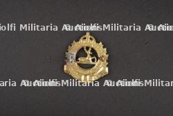Ensemble de cap badges de la 3ème DI. — photo 21