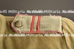 Gymnastyorka — photo 5