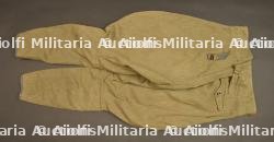 Pantalon culotte de cheval russe.