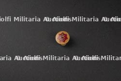 Ensemble d'insignes divers — photo 26