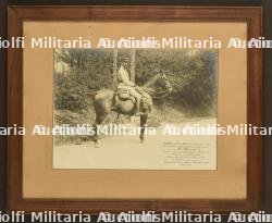 Photo du célèbre cheval Artaban — photo 1