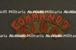 Rare insigne commando du centre d'instruction des opérations amphibies