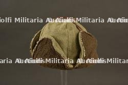 Coiffe hivernale