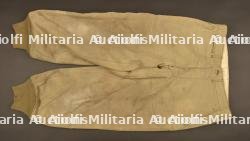 Pantalon des troupes de montagne US