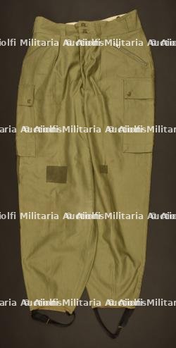 Pantalon des troupes de montagne US