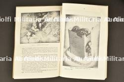 Téléphone de campagne EE-8-B dans son emballage carton d'origine. EE-8-B campaign phone in its original cardboard packaging — photo 3