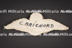 Brevet de pilote Sud Africain. South African pilot’s brevet. — photo 2