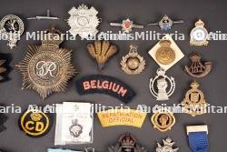Insignes britannique. British insignias. — miniature 3