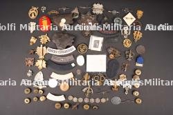 Insignes britannique. British insignias. — miniature 8